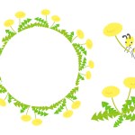 Round frame of dandelion flowers and bees. Bright and cute spring frame