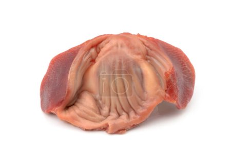 turkey stomachs isolated on white background