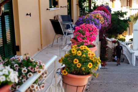 Foto de Flores coloridas brillantes del pote en balcón, decoración al aire libre, colores del verano en la calle - Imagen libre de derechos