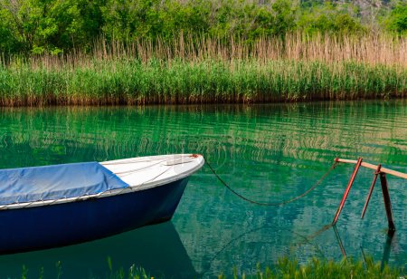 Foto de Pequeño barco azul para la pesca atracado en el atraque del río, caña verde planta ambiente fondo - Imagen libre de derechos