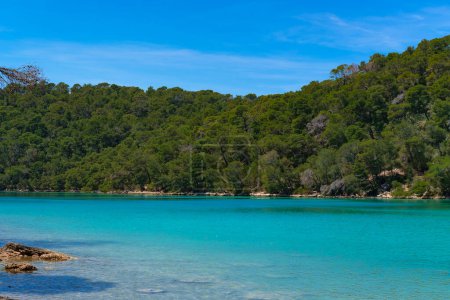 Photo for Small lake in the forest, natural amazing Mljet island national park, Malo Jezero - Royalty Free Image