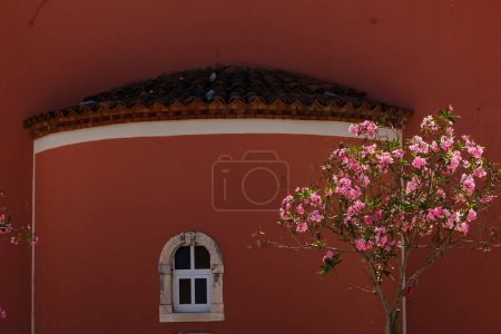 Téléchargez les photos : Étonnante correspondance de couleur des murs rouges de l'église grecque dans l'île de paxox et la floraison rose floraison plante extérieure - en image libre de droit