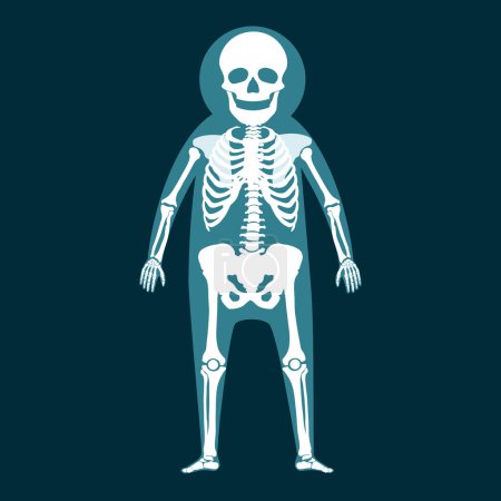 full length x-ray of a person