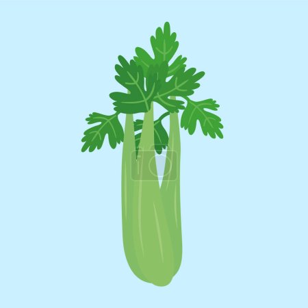 Illustration for Celery icon vector template illustration graphic design - Royalty Free Image