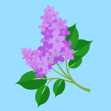 Ilustración de Vector illustration of a beautiful purple flowers - Imagen libre de derechos