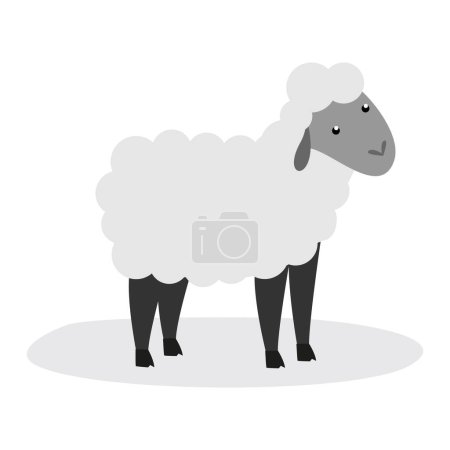 vector illustration of cute sheep