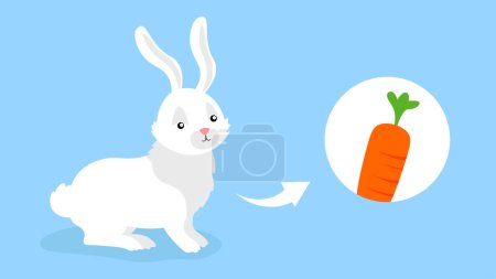 Téléchargez les illustrations : Lapin à la carotte. Illustration vectorielle - en licence libre de droit