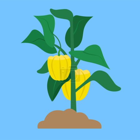 Illustration for Web illustration of yellow bell peppers with soil on blue background - Royalty Free Image
