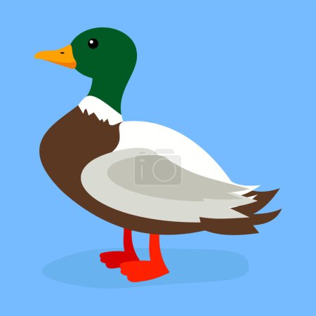 Illustration for Duck icon. flat illustration of bird vector icons for web design - Royalty Free Image