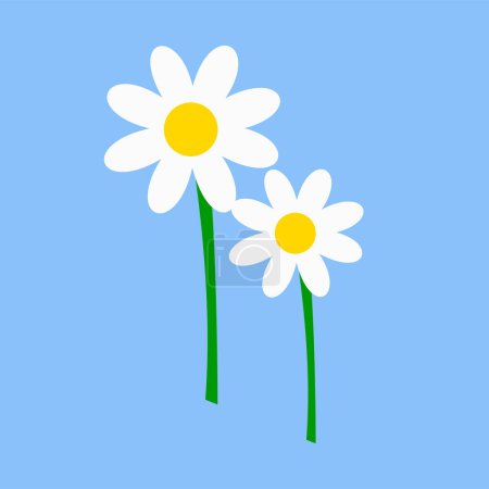 Ilustración de Chamomile flowers. isometric illustration for web - Imagen libre de derechos