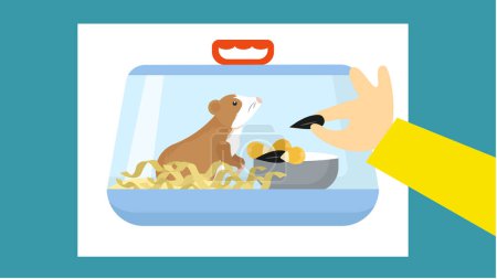 Téléchargez les illustrations : Nourriture pour animaux et hamster dans un bol pour animaux de compagnie. Illustration vectorielle en style plat. - en licence libre de droit