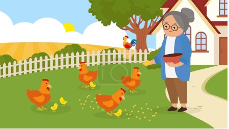Téléchargez les illustrations : Femme âgée avec du poulet à la ferme. Illustration vectorielle. - en licence libre de droit
