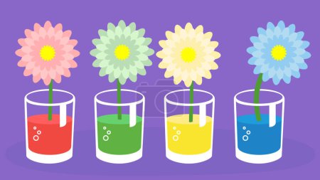 Téléchargez les illustrations : Fleurs dans des vases en verre. Illustration vectorielle en style plat. - en licence libre de droit