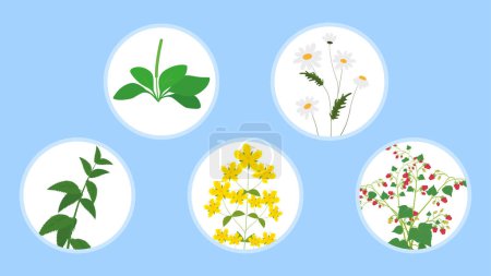 Ilustración de Conjunto de flores de primavera iconos planos, ilustración, - Imagen libre de derechos