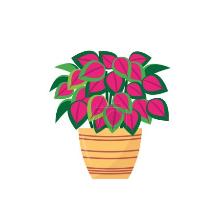 Illustration for Illustration of leafy houseplant in pot on white background - Royalty Free Image