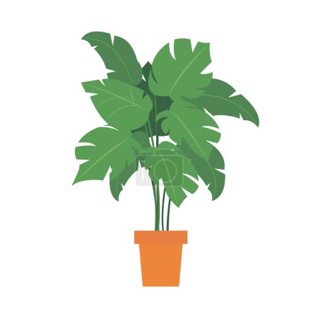 Téléchargez les illustrations : Illustration de la plante verte avec de grandes feuilles en pot - en licence libre de droit