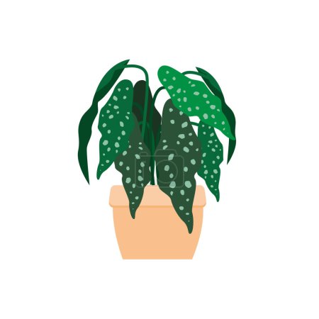 Téléchargez les illustrations : Illustration de la plante verte en pot sur fond blanc - en licence libre de droit