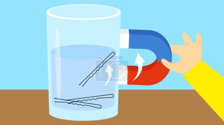 Illustration for Horseshoe magnet and hairpins in a glass of water. Vector illustration. - Royalty Free Image