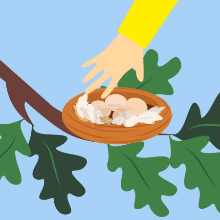 Illustration for Illustration of hand picking up eggs from the bird nest - Royalty Free Image
