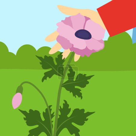 Téléchargez les illustrations : Main tenant fleur dans le jardin illustration - en licence libre de droit