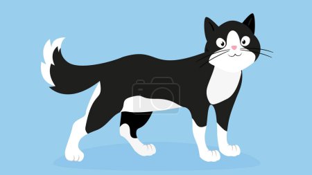 Illustration for Illustration of cute cat cartoon on blue background. - Royalty Free Image