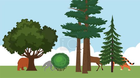 Téléchargez les illustrations : Divers animaux se cachant dans la forêt, illustration vectorielle - en licence libre de droit