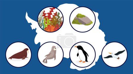 Ilustración de Conjunto de varios iconos animales polares en círculos, ilustración vectorial - Imagen libre de derechos