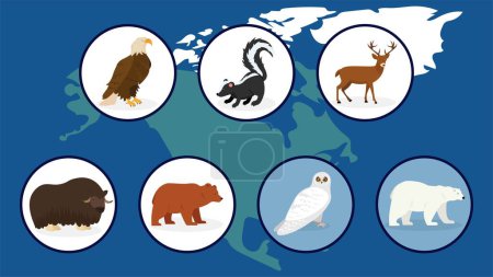 Téléchargez les illustrations : Ensemble de diverses icônes d'animaux nord-américains en cercles, illustration vectorielle - en licence libre de droit
