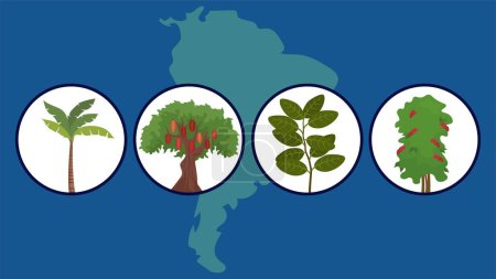 Ilustración de Conjunto de varios iconos de plantas sudamericanas en círculos, ilustración vectorial - Imagen libre de derechos