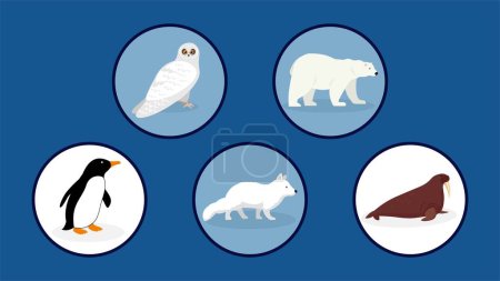 Téléchargez les illustrations : Ensemble de diverses icônes animaux antarctiques en cercles, illustration vectorielle - en licence libre de droit