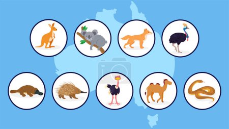 Téléchargez les illustrations : Ensemble de diverses icônes animales australiennes en cercles, illustration vectorielle - en licence libre de droit