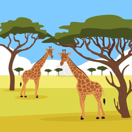 Téléchargez les illustrations : Illustration de girafes dans la savane, illustration vectorielle - en licence libre de droit