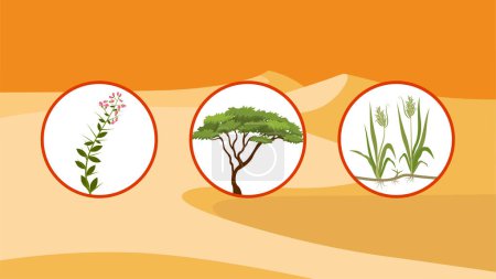 Illustration for Set of various desert plants icons in circles, vector illustration - Royalty Free Image