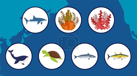 Téléchargez les illustrations : Ensemble de diverses créatures marines icônes en cercles, illustration vectorielle - en licence libre de droit