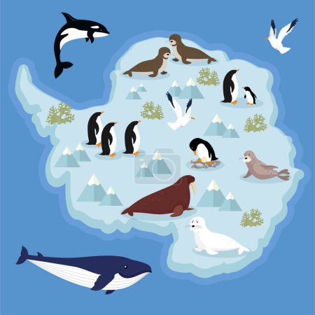 Téléchargez les illustrations : Antarctica carte avec des animaux sur fond bleu, illustration vectorielle - en licence libre de droit