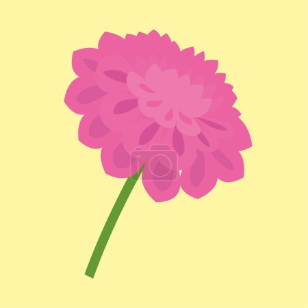Téléchargez les illustrations : Chrysanthème rose sur fond jaune. Illustration vectorielle - en licence libre de droit