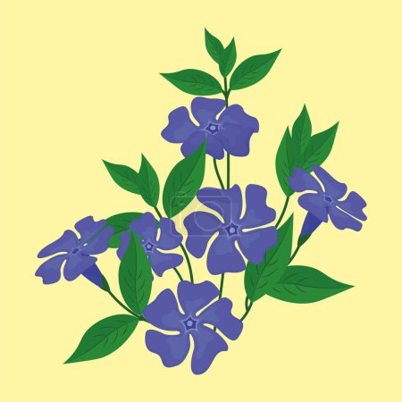 Téléchargez les illustrations : Fleurs pervenches bleues avec des feuilles sur fond jaune. Illustration vectorielle. - en licence libre de droit
