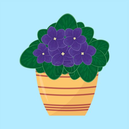 Illustration for Violet flowers in a pot. Vector illustration in cartoon style. - Royalty Free Image