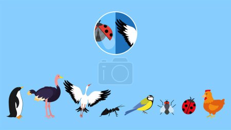 Téléchargez les illustrations : Illustration vectorielle de différents types d'oiseaux et d'animaux sur fond bleu - en licence libre de droit