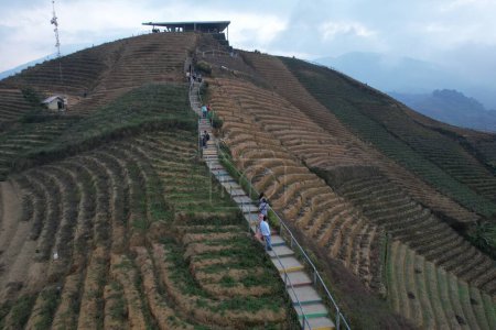 Téléchargez les photos : Panyaweuyan Argapura Hill. World heritage Panyaweuyan rice terraces in West Java, Majalengka, Indonesia. - en image libre de droit