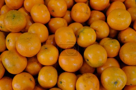Photo for The mandarin orange, also known as mandarins or mandarines, is a small citrus tree fruit. Citrus reticulata. pile of oranges in the fruit shop. jeruk Medan. - Royalty Free Image