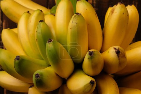 Lady Finger bananas are diploid cultivars of Musa acuminata. They are small, thin skinned, and sweet. Pisang emas. a bunch of fresh golden bananas.