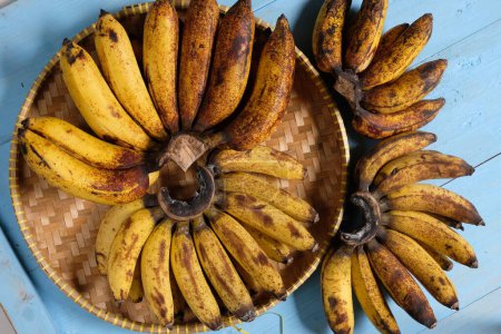 Foto de Lady Finger bananas son cultivares diploides de Musa acuminata. Son pequeños, de piel fina y dulces. Pisang emas. un ramo de plátanos frescos dorados. - Imagen libre de derechos