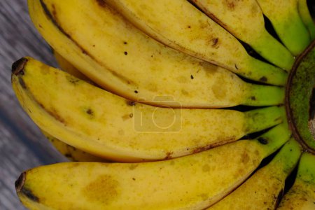 Foto de Lady Finger bananas son cultivares diploides de Musa acuminata. Son pequeños, de piel fina y dulces. Pisang emas. un ramo de plátanos frescos dorados. - Imagen libre de derechos
