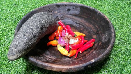 Foto de Close up of ingredients for making chili sauce on a clay plate. Red chili, onion, and salt. Onion and chili in a pestle and stone mortar. Cooking ingredients. Artificial green grass. - Imagen libre de derechos