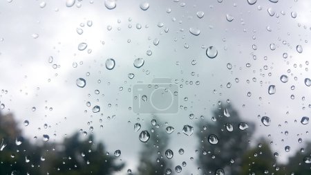 Raindrops at window with blurred tree background. The rainy season.