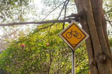 Bicycle signs with shady trees in the background. Bicycle road sign.