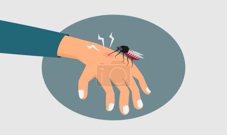 Un moustique mord une main humaine. Concept d'épidémie de dengue ou de paludisme. Illustration vectorielle.