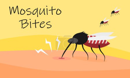 Un mosquito pica la piel humana. Dengue o concepto de brote de malaria. Ilustración vectorial.