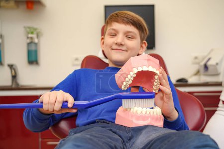 Téléchargez les photos : Un garçon sur rendez-vous chez le dentiste tient dans ses mains une grande brosse à dents et une mâchoire en plastique avec des dents. - en image libre de droit